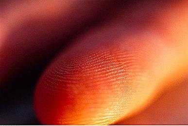 《幻兽帕鲁》开发商新作《不寐之境：女巫与诅咒》宣布跳过ea阶段直接发售